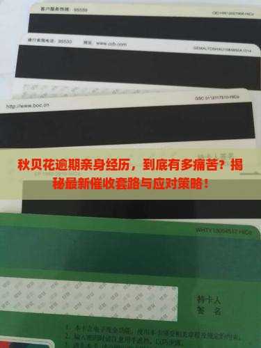 秋贝花逾期亲身经历