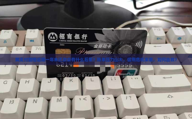 翼支付甜橙逾期一年未还款后果