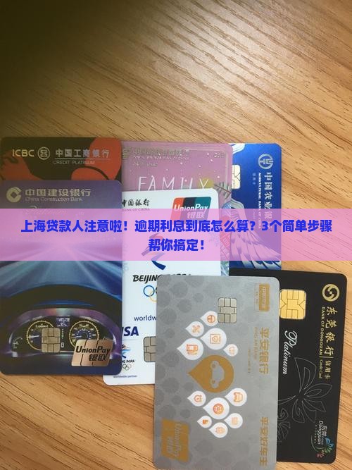 上海机构借款逾期利息计算方法