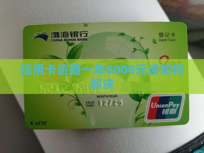 信用卡逾期一年6000元如何处理