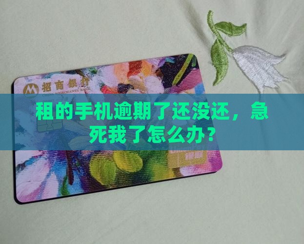 趣租机逾期未还怎么办