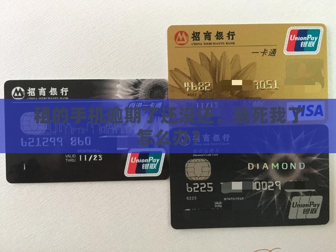 趣租机逾期未还怎么办