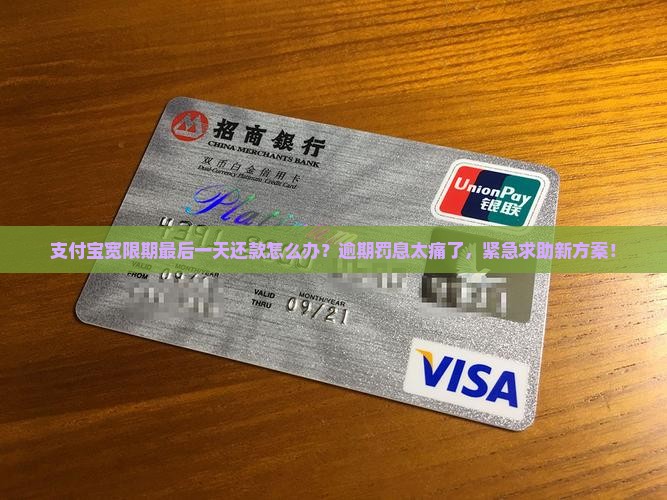 支付宝宽限期最后一天还款怎么办
