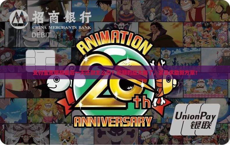 支付宝宽限期最后一天还款怎么办