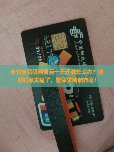 支付宝宽限期最后一天还款怎么办