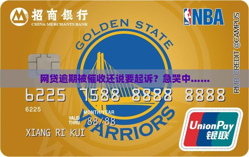 网贷逾期了催收发短信起诉及相关问题
