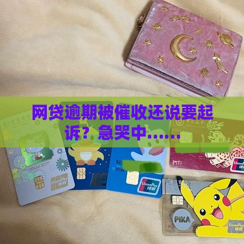 网贷逾期了催收发短信起诉及相关问题