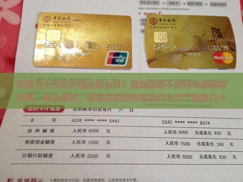 网贷几十万无力偿还怎么办