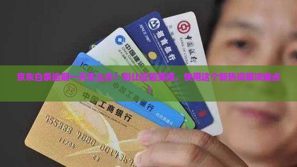 京东白条的逾期一天怎么办