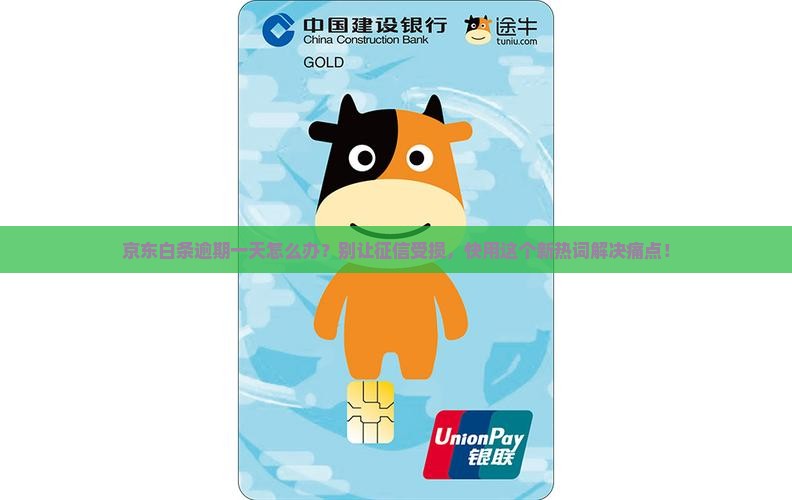 京东白条的逾期一天怎么办