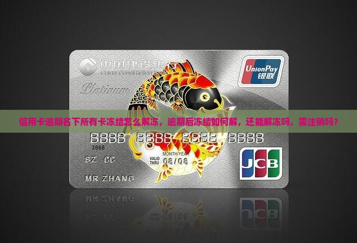 信用卡逾期名下所有卡冻结怎么解冻