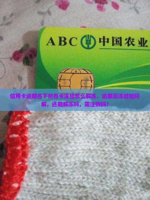信用卡逾期名下所有卡冻结怎么解冻