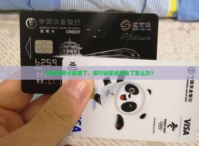 招商信用卡呆账催收怎么办理