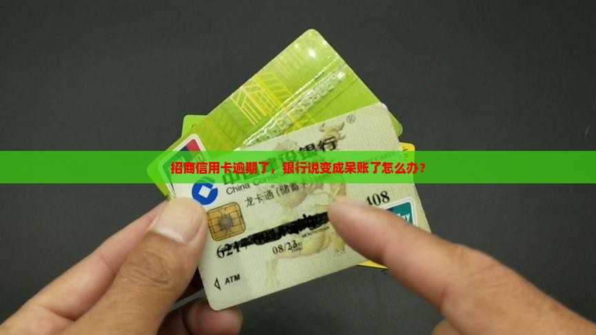 招商信用卡呆账催收怎么办理