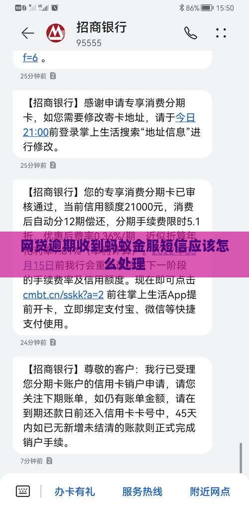 网贷逾期收到蚂蚁金服短信应该怎么处理