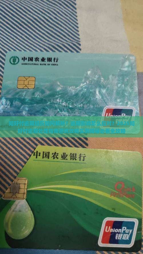 知好付逾期经历如何处理