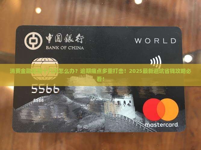 消费金融逾期了十几天怎么办