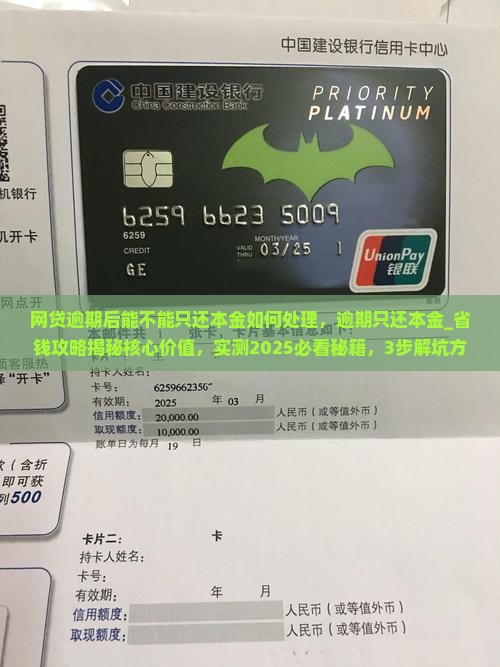 网贷逾期后能不能只还本金如何处理