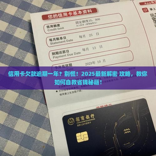 信用卡的欠款逾期一年了怎么办