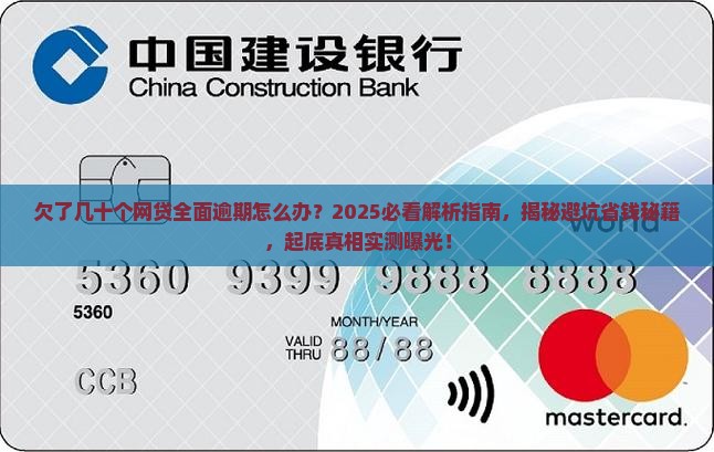 欠了几十个网贷全面逾期怎么办