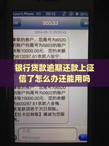 银行贷款逾期还款上征信了怎么办还能用吗