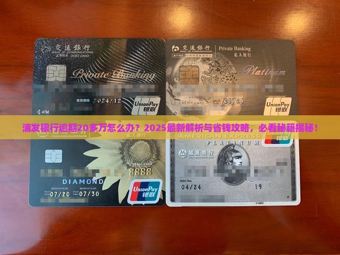 浦发银行逾期20多万怎么办