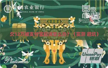 支付宝欠12万被起诉应该如何应对