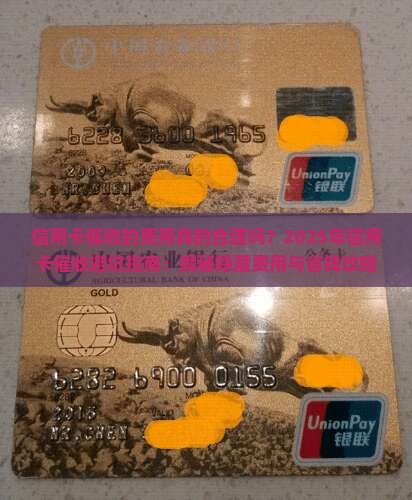 信用卡催收的费用如何计算