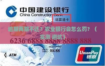农业银行逾期两期未还款会有什么后果
