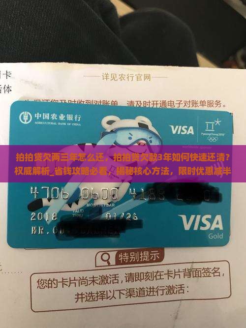 拍拍贷欠两三年怎么还