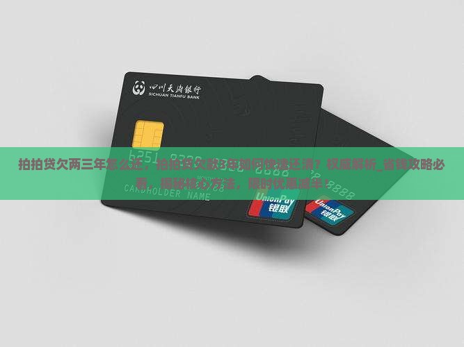 拍拍贷欠两三年怎么还