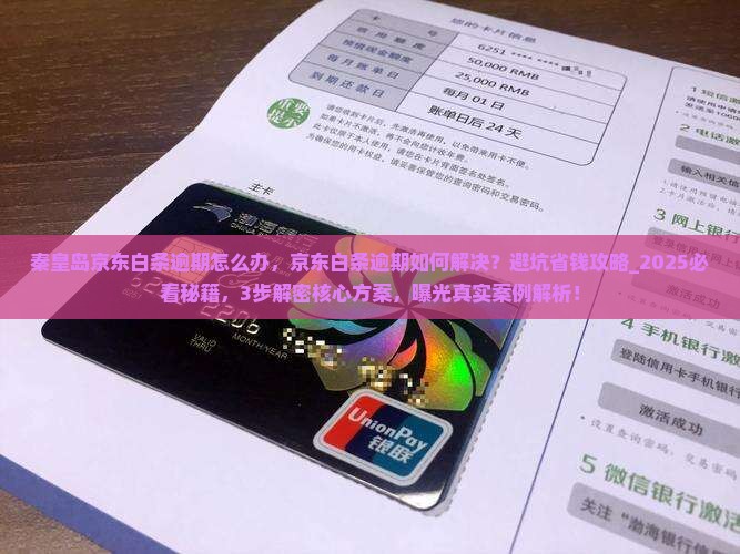 秦皇岛京东白条逾期怎么办
