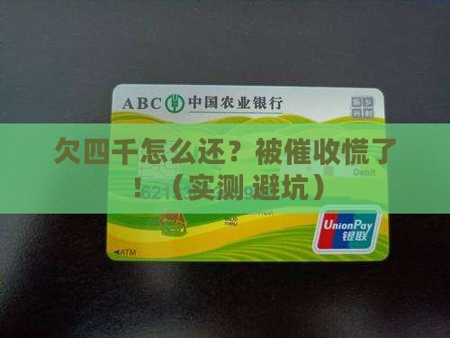 借贷宝欠款四千怎么办