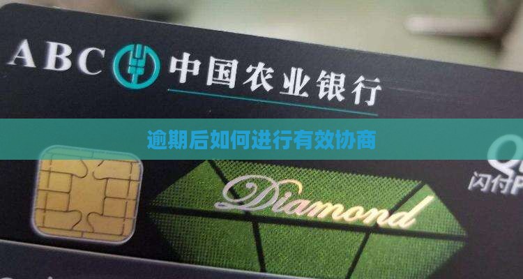 2024微粒贷贷款逾期如何进行法务协商