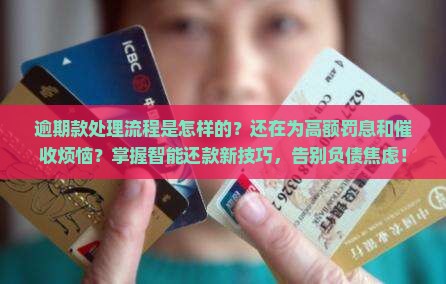 招联逾期款处理流程