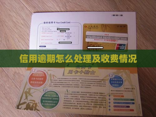 信用飞逾期收费吗如何处理