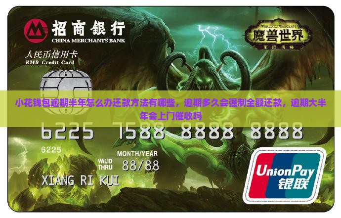 小花钱包逾期半年怎么办还款方法有哪些