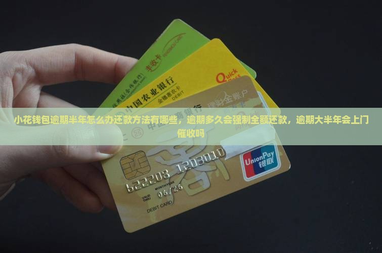 小花钱包逾期半年怎么办还款方法有哪些