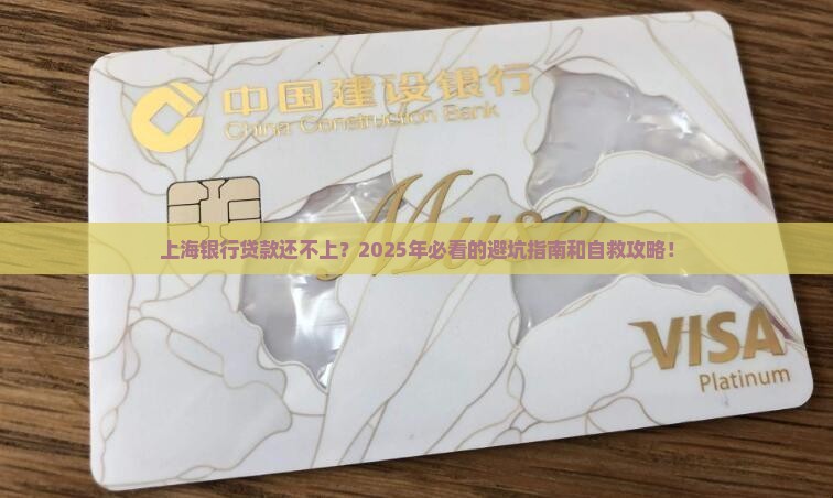 上海银行无力偿还贷款如何处理