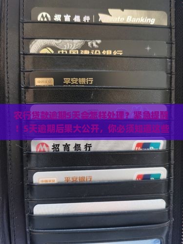 农行贷款逾期5天会怎样处理