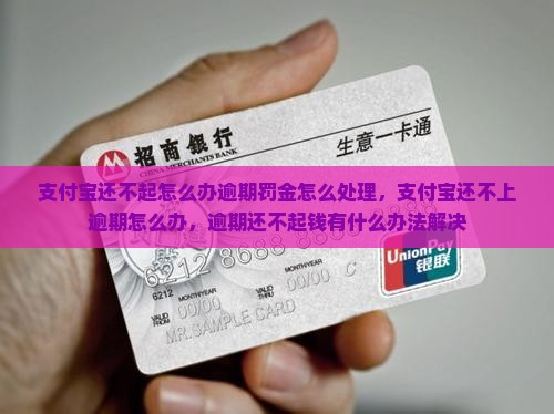 支付宝还不起怎么办逾期罚金怎么处理