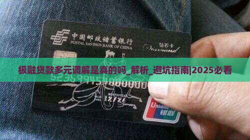 极融贷款多元调解是真的吗