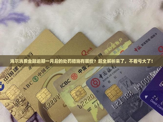 海尔消费金融逾期一月后的处罚措施有哪些