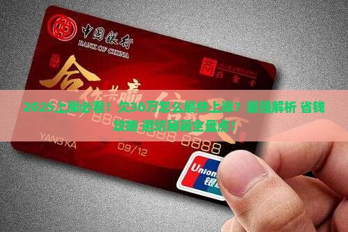 欠了30万怎么上岸最快