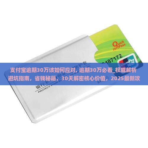 支付宝逾期30万该如何应对