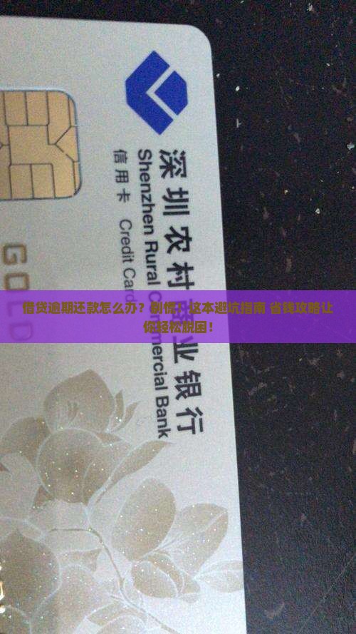 借贷逾期还款方法怎么办