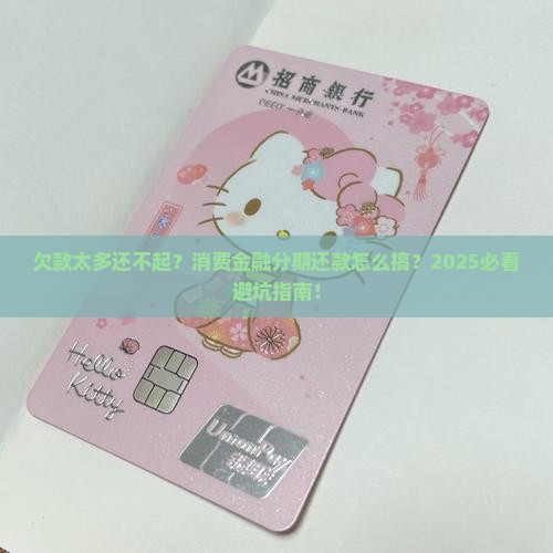 消费金融欠款怎么办分期还款