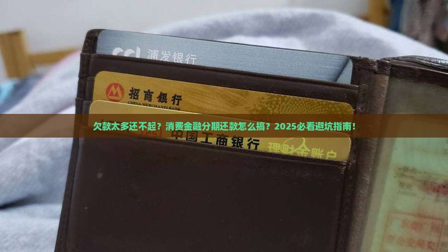 消费金融欠款怎么办分期还款