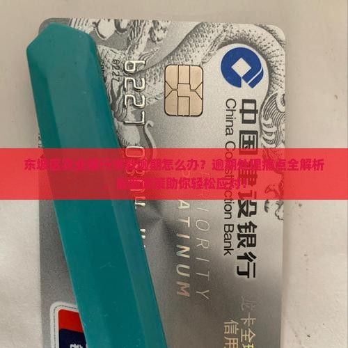 东坡区农业银行贷款逾期怎么处理