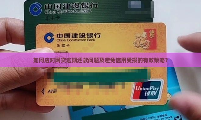 如何应对网贷逾期还款问题及避免信用受损的有效策略？